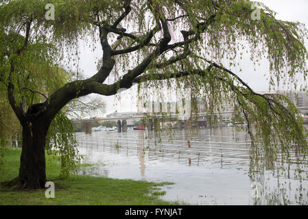 WASHINGTON, DC - eine überflutet Uferpromenade entlang Hains Point und Washington Channel (mit Südwest-Küste im Hintergrund). Stockfoto