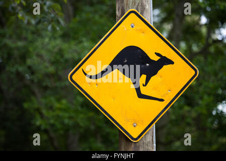 OUTBACK, Australien – vor dem Hintergrund der trockenen australischen Landschaft steht Ein gelbes, diamantförmiges Straßenschild mit einem springenden Känguru. Das legendäre Warnschild warnt Fahrer vor Wildtieren auf der abgelegenen Outback Road. Stockfoto