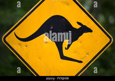 Kangaroo Road Schild Outback Australia / OUTBACK, Australia — Ein gelbes, diamantförmiges Straßenschild mit einem springenden Känguru steht vor dem Hintergrund der trockenen australischen Landschaft. Das legendäre Warnschild warnt Fahrer vor Wildtieren auf der abgelegenen Outback Road. Stockfoto