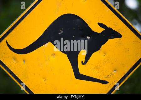 Kangaroo Road Schild Outback Australia // OUTBACK, Australia — Ein gelbes, diamantförmiges Straßenschild mit einem springenden Känguru steht vor dem Hintergrund der trockenen australischen Landschaft. Das legendäre Warnschild warnt Fahrer vor Wildtieren auf der abgelegenen Outback Road. Stockfoto