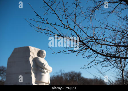 Im Jahr 2011 eröffnete gedenkt Martin Luther King, Jr. Memorial der Zivilrechte Führer und der Civil Rights Movement. Es steht am Ufer des Tidal Basin in Washington DC. Sein Herzstück ist eine große Statue von Dr. King, die von Lei Yixin geschnitzt wurde. Im Vordergrund ist ein Vorblüte Zweig der berühmten Yoshino Kirschblütenbäume dieser Linie Tidal Basin. Stockfoto