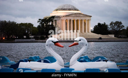 WASHINGTON DC, Vereinigte Staaten – Paddelboote in Schwanenform ruhen an ihrem Dock am Tidal Basin mit dem Jefferson Memorial im Hintergrund. Diese unverwechselbaren Boote bieten Besuchern eine einzigartige Perspektive auf das Denkmal vom Wasser aus. Die Leihboote bieten eine beliebte Freizeitaktivität entlang der National Mall. Stockfoto