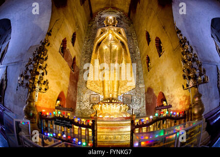 Ananda Temple Gilded Buddha Statue Bagan Myanmar // BAGAN, Myanmar — eine von vier monumentalen vergoldeten hölzernen Buddha-Statuen dominiert das Innere des Ananda Tempels, jede steht 9,5 Meter hoch auf 2,4 Meter hohen Thronen innerhalb der Kardinalnischen. Die vier Statuen stellen die Buddhas dar, die das Nirwana erreicht haben: Kakusandha, Konagamana, Kassapa und Gautama, zwei davon stammen aus dem ursprünglichen Bau des 11. Jahrhunderts und zwei wurden nach Brandschäden als Ersatz aus dem 17. Jahrhundert installiert. Diese massiven Skulpturen dienen als Mittelpunkt der Hingabe im Tempel, obwohl sie lange nach dem Tempel hinzugefügt wurden Stockfoto