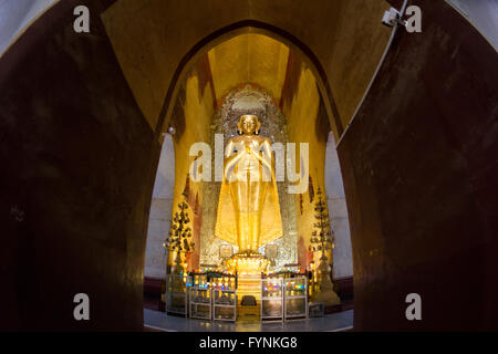 Ananda Temple Buddha Statue Bagan Myanmar // BAGAN, Myanmar — eine von vier monumentalen vergoldeten hölzernen Buddha-Statuen dominiert das Innere des Ananda Tempels, jede steht 9,5 Meter hoch auf 2,4 Meter hohen Thronen innerhalb der Kardinalnischen. Die vier Statuen stellen die Buddhas dar, die das Nirwana erreicht haben: Kakusandha, Konagamana, Kassapa und Gautama, zwei davon stammen aus dem ursprünglichen Bau des 11. Jahrhunderts und zwei wurden nach Brandschäden als Ersatz aus dem 17. Jahrhundert installiert. Diese massiven Skulpturen dienen als Brennpunkt der Hingabe im Tempel, obwohl sie lange nach dem Fundi des Tempels hinzugefügt wurden Stockfoto