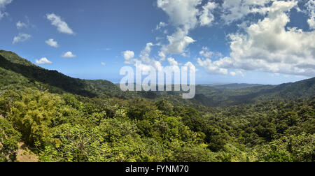 Panorama von Puerto Rico El Yunque Regenwald - von Yokahu Aussichtsturm Stockfoto