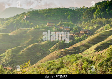 Die atemberaubende Reisterrassen von Jinkeng in Longji, autonome Region Guangxi, China Stockfoto