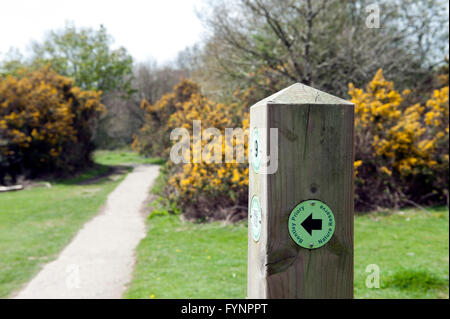 Wegweiser des Bereichs im Naturschutzgebiet Bentley Priory Stockfoto