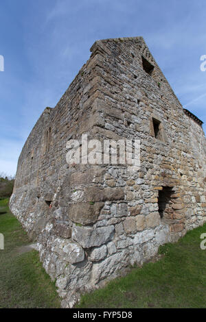 Penmon Priory, Wales. Malerische Aussicht auf das 13. Jahrhundert Ruinen Penmon Priory. Stockfoto