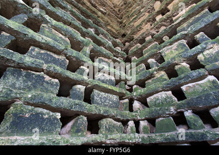 Penmon Dovecot, Wales. Malerische Innenansicht des frühen 17. Jahrhunderts Penmon Dovecot, in Anglesey. Stockfoto