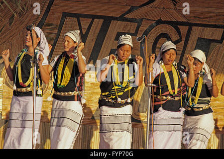 Traditioneller Tanz von Adi-Stämme Stockfoto