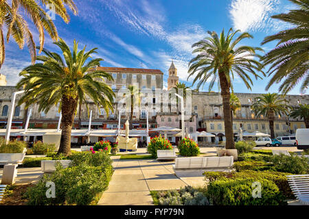 Split Riva Palm Blick Stockfoto