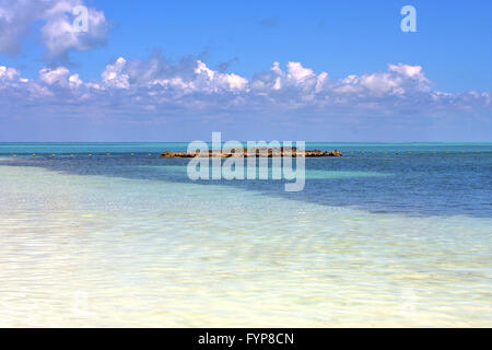 Blaue Welle in Mexiko Froath und blau Stockfoto