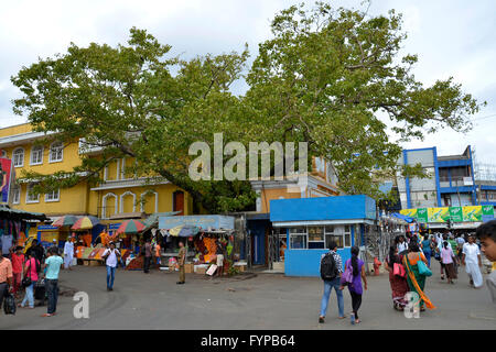 Bodhiraya Tempel, Cross Street, Pettah, Colombo, Sri Lanka Stockfoto