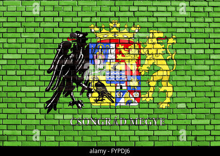 Flagge des südlichen-County auf Mauer gemalt Stockfoto