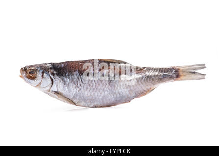 Getrockneter Fisch auf weißem Hintergrund Stockfoto