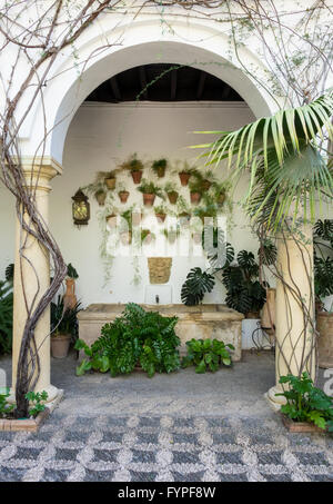 Gärten und Höfe im Palacio de Viana Cordoba Stockfoto