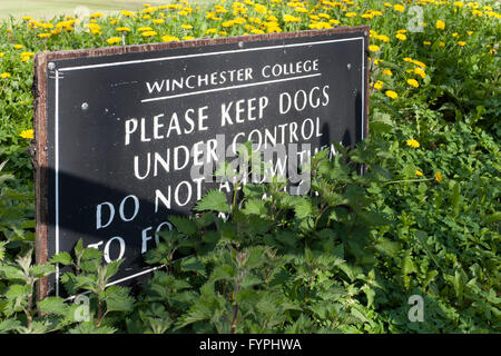 Zeichen, die Winchester College Gründen Achtung Hundebesitzer um sie unter Kontrolle zu halten England uk Stockfoto