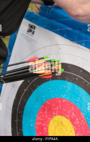 Archer üben Feld Bogenschießen Einrichtung das Ziel mit einem Köcher aus Kohlefaser im Fokus Stockfoto