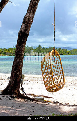 Sitz Korbweide Lagune Strand Algen in der neugierige werden indische Stockfoto