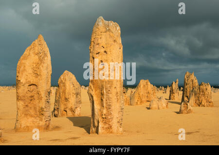 Zinnen, Nambung National Park, Western Australia, Australia Stockfoto