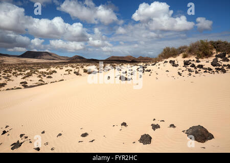 Wanderdünen El Jable, Las Dunas de Corralejo, südlichen Teil des Naturparks Corralejo, Fuerteventura Stockfoto