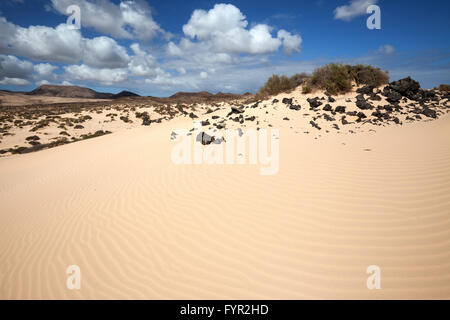 Sanddünen, Wanderdünen El Jable, Las Dunas de Corralejo, südlichen Teil des Naturparks Corralejo, Fuerteventura Stockfoto