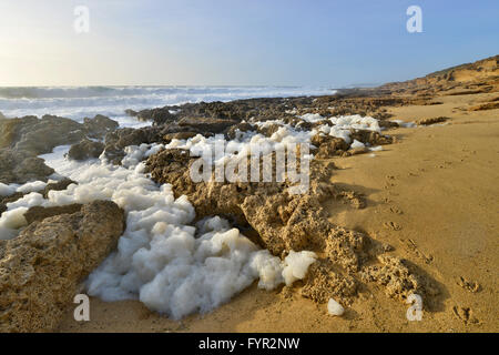 Meerschaum, Spiaggia di Scivu, Costa Verde, Sardinien, Italien Stockfoto