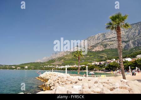 Stadt Makarska mit Blick auf das Meer, die Palmen, Steine vor und Berg Biokovo im Hintergrund. Tucepi ist ein beliebter Ferienort in Kroatien Stockfoto