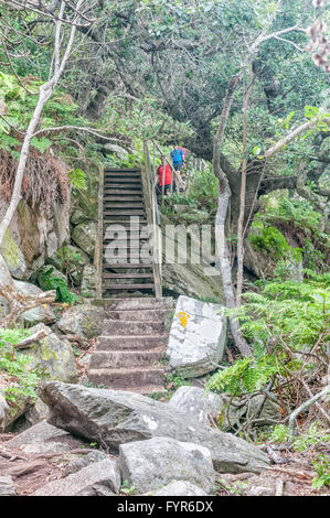 STORMS RIVER Mund, Südafrika - 1. März 2016: Unbekannter Wanderer auf dem Wasserfall-Trail Stockfoto