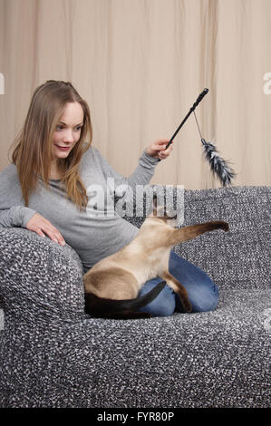 junge Frau mit Katze spielen Stockfoto