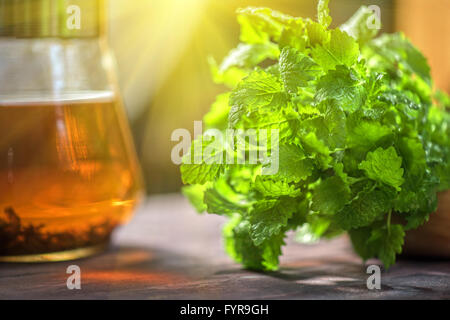 Tee mit frischem Grün melissa Stockfoto