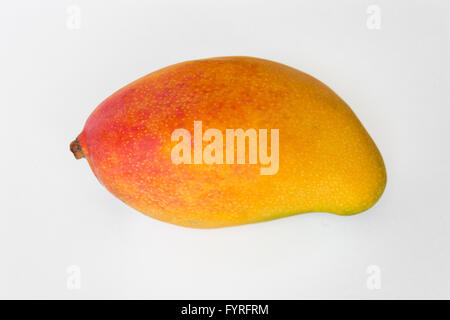 Mango, die isoliert auf weißem Hintergrund Stockfoto