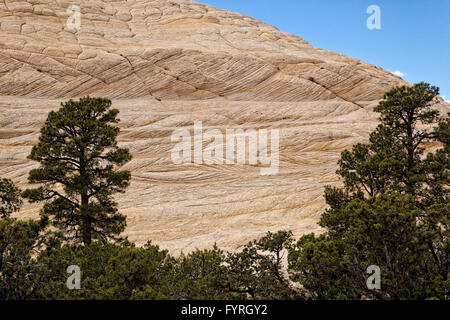 Kreuz, Bettwäsche-Sandstein - Capitol Reef NP - Utah Stockfoto