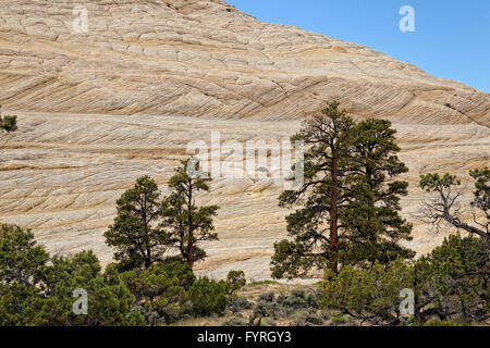 Kreuz, Bettwäsche-Sandstein - Capitol Reef NP - Utah Stockfoto