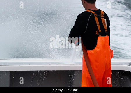 Hummer-Fischer in Atlantik-Kanada. Englishtown Stockfoto