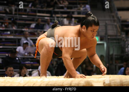 Sumo-Ringer in Japan in die Ausgangsposition Stockfoto