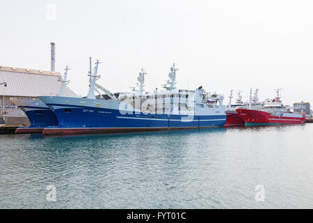 Fisch-Trawler im Hafen Stockfoto