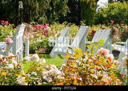 Stuhlreihen im Woodland Park Rose Garden Stockfoto