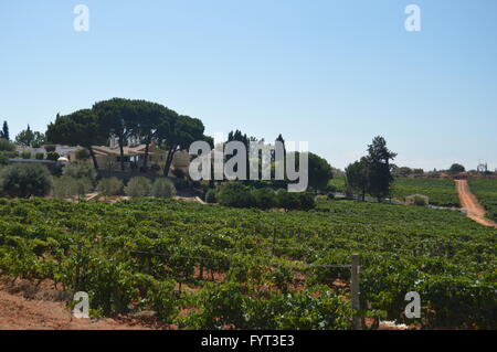 Quinta Do Moinho, -Cliff Richards Villa in Guia, Portugal. Stockfoto