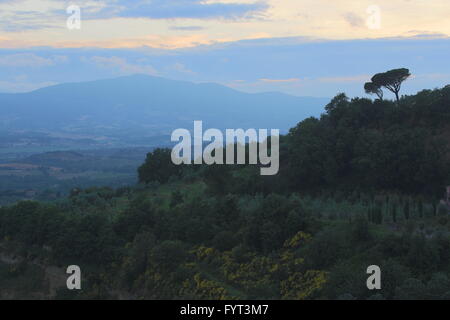 Typische italienische Landschaft in Monteleone d - Umbrien. Stockfoto