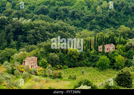 Typische italienische Landschaft in Monteleone d - Umbrien. Stockfoto