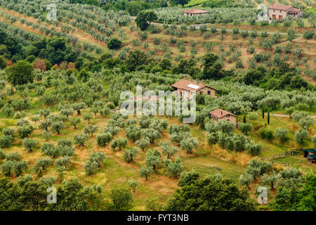 Typische italienische Landschaft in Monteleone d - Umbrien. Stockfoto