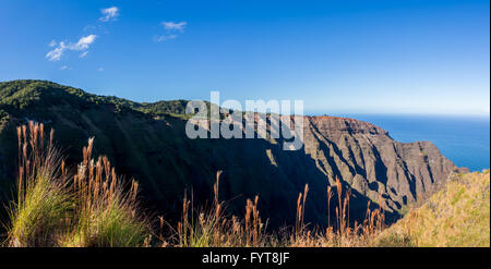 Awaawapuhi Trail Ende auf Felsen über Na Pali-Küste auf Kauai Stockfoto