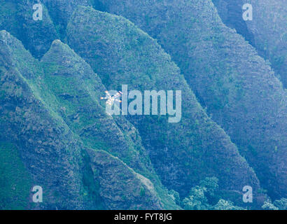 Awaawapuhi Trail Ende auf Felsen über Na Pali-Küste auf Kauai Stockfoto