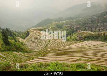 Die atemberaubende Reisterrassen von Ping'an in Longji, autonome Region Guangxi, China Stockfoto