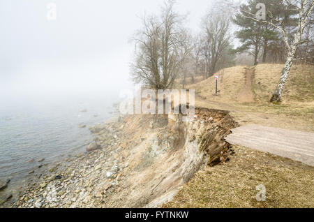 Estnische Kalkstein Nordufer im Nebel Stockfoto