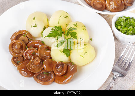 Eingelegte orange Pilze mit Salzkartoffeln Stockfoto