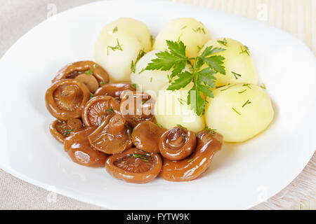 Eingelegte orange Pilze mit Salzkartoffeln Stockfoto