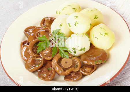 Eingelegte orange Pilze mit Salzkartoffeln Stockfoto