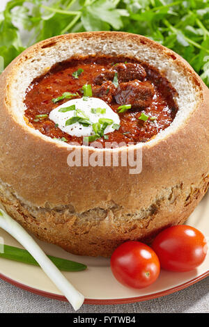 Tschechische Küche. Gulasch im Brot serviert Stockfoto